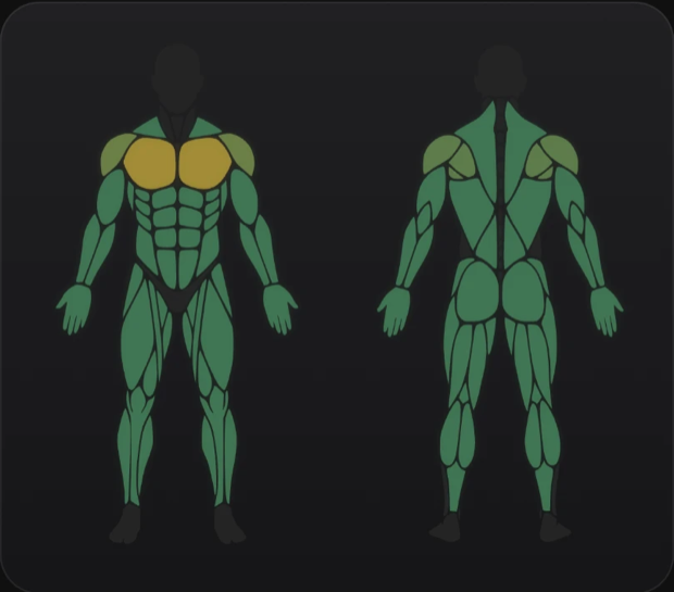 Muscle recovery map